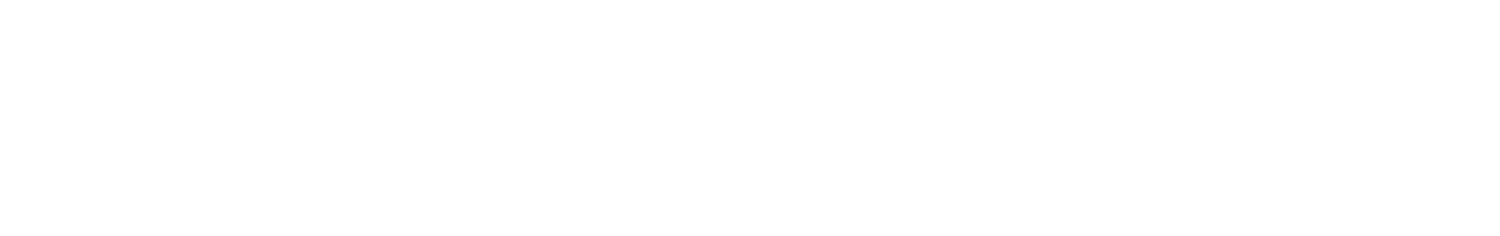 Renault - Silva Santos